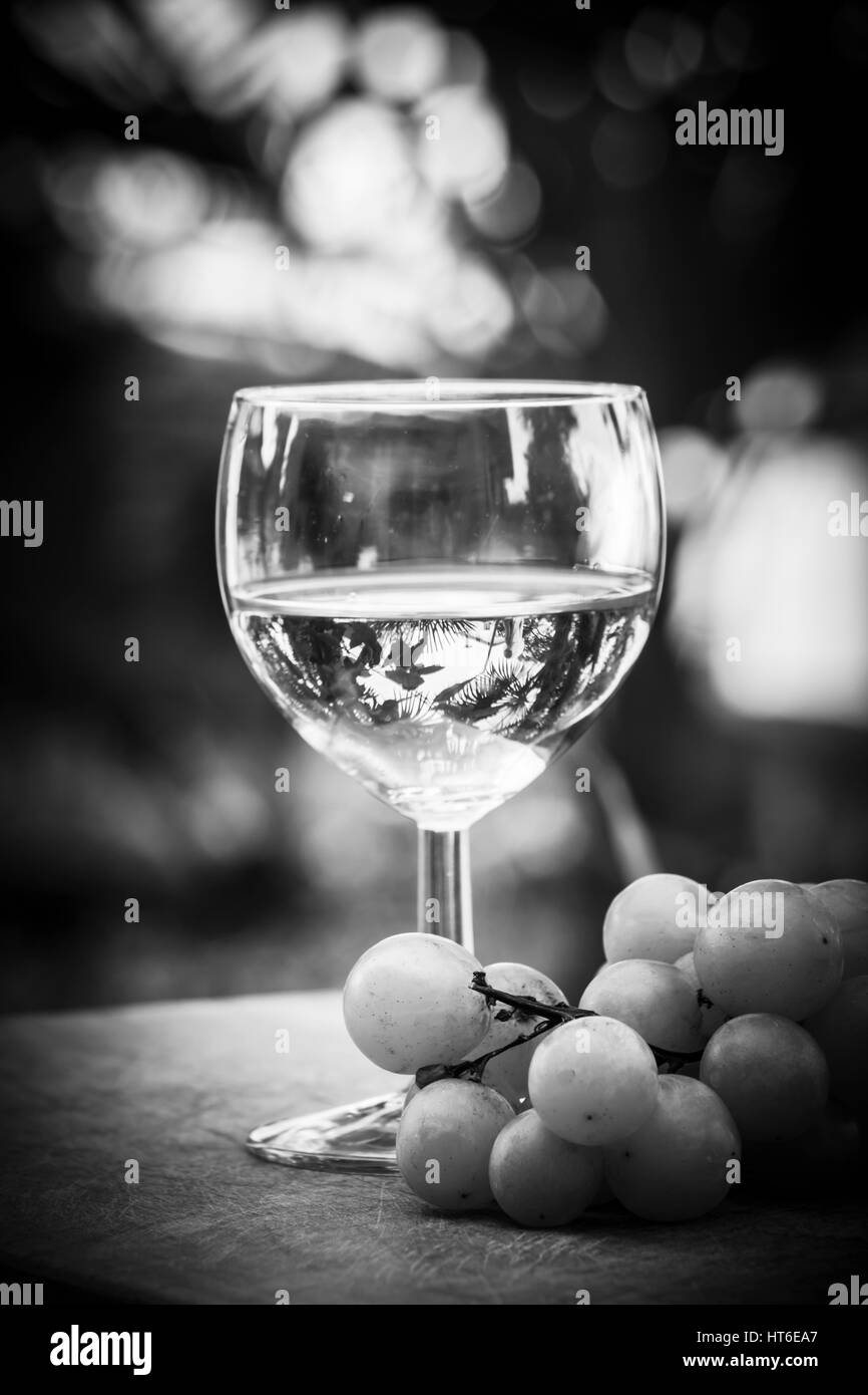 Vin blanc italien avec du pamplemousse Banque D'Images