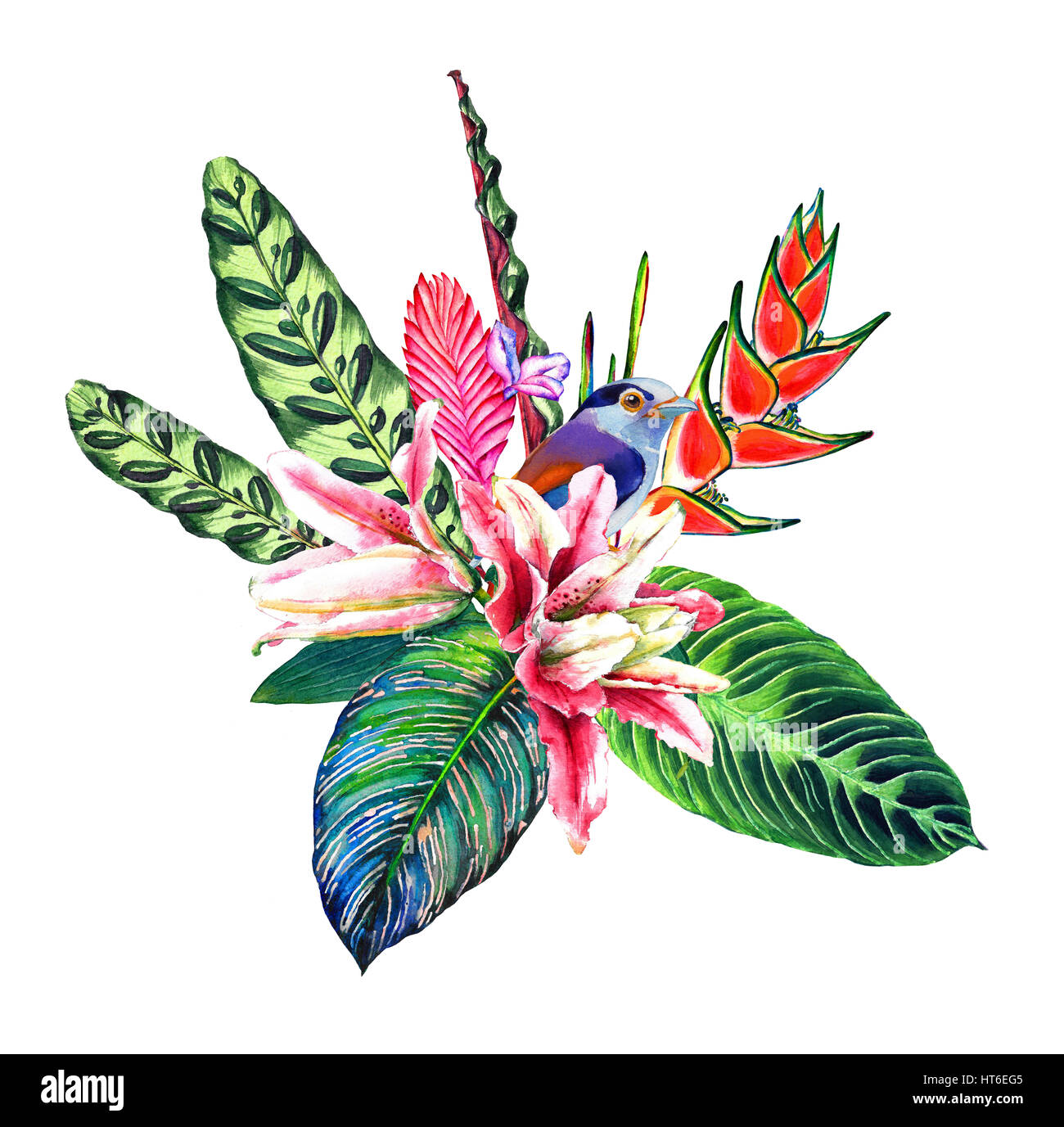 Bouquet Tropical Fleurs Exotiques Forêt Tropicale Feuilles