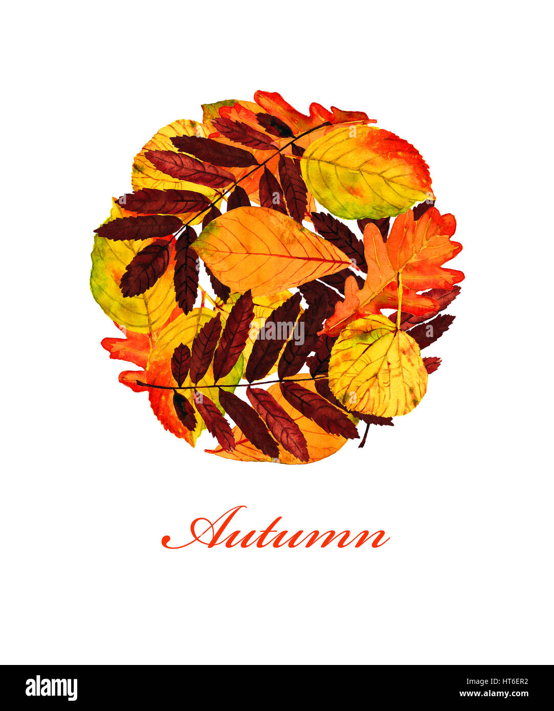 Bannière avec les feuilles colorées dans le style décoratif et le texte 'Autumn'. Modèle de carte de vœux, isolé sur fond blanc. Banque D'Images