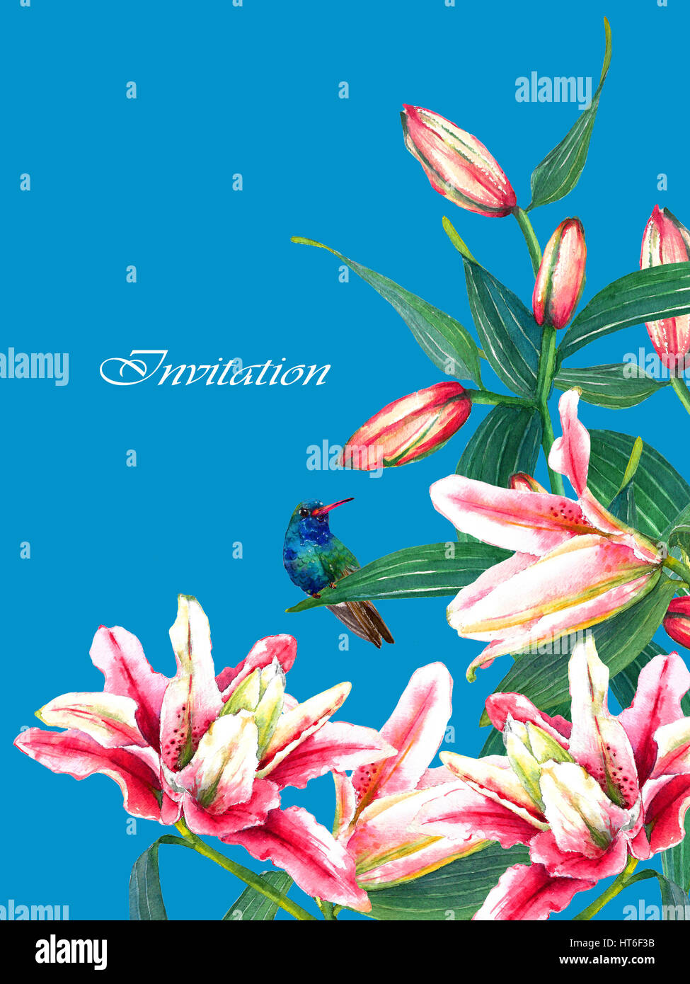 Bouquet de rose d'Asie tropicale des lys et un colibri. Isolé sur fond blanc. La mode ou la papeterie, carte de voeux et d'invitation de style Hawaïen Banque D'Images