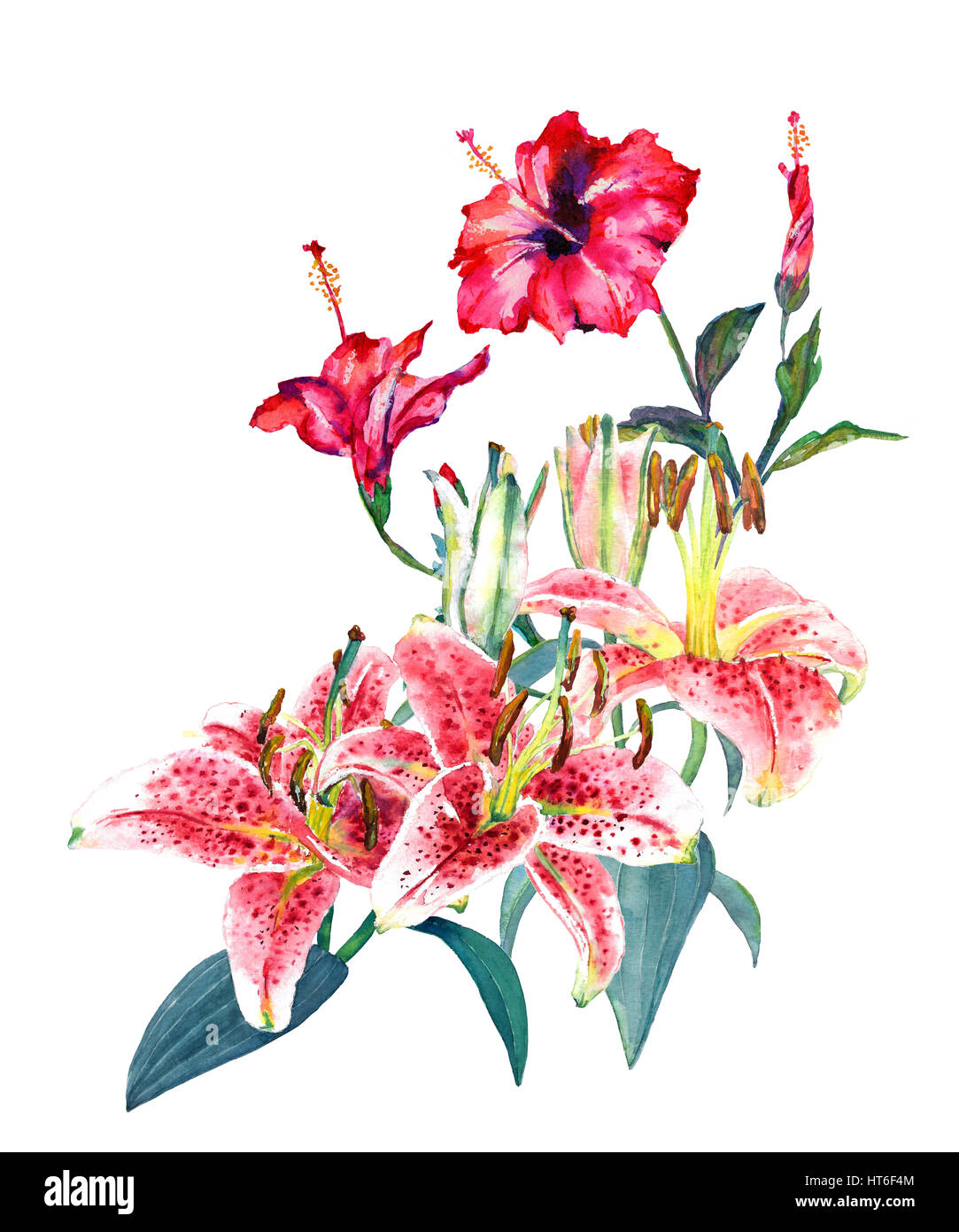 Bouquet tropical superbe lys rose écarlate et d'hibiscus. La mode ou de la papeterie, de l'accueil/invitation card design. Banque D'Images