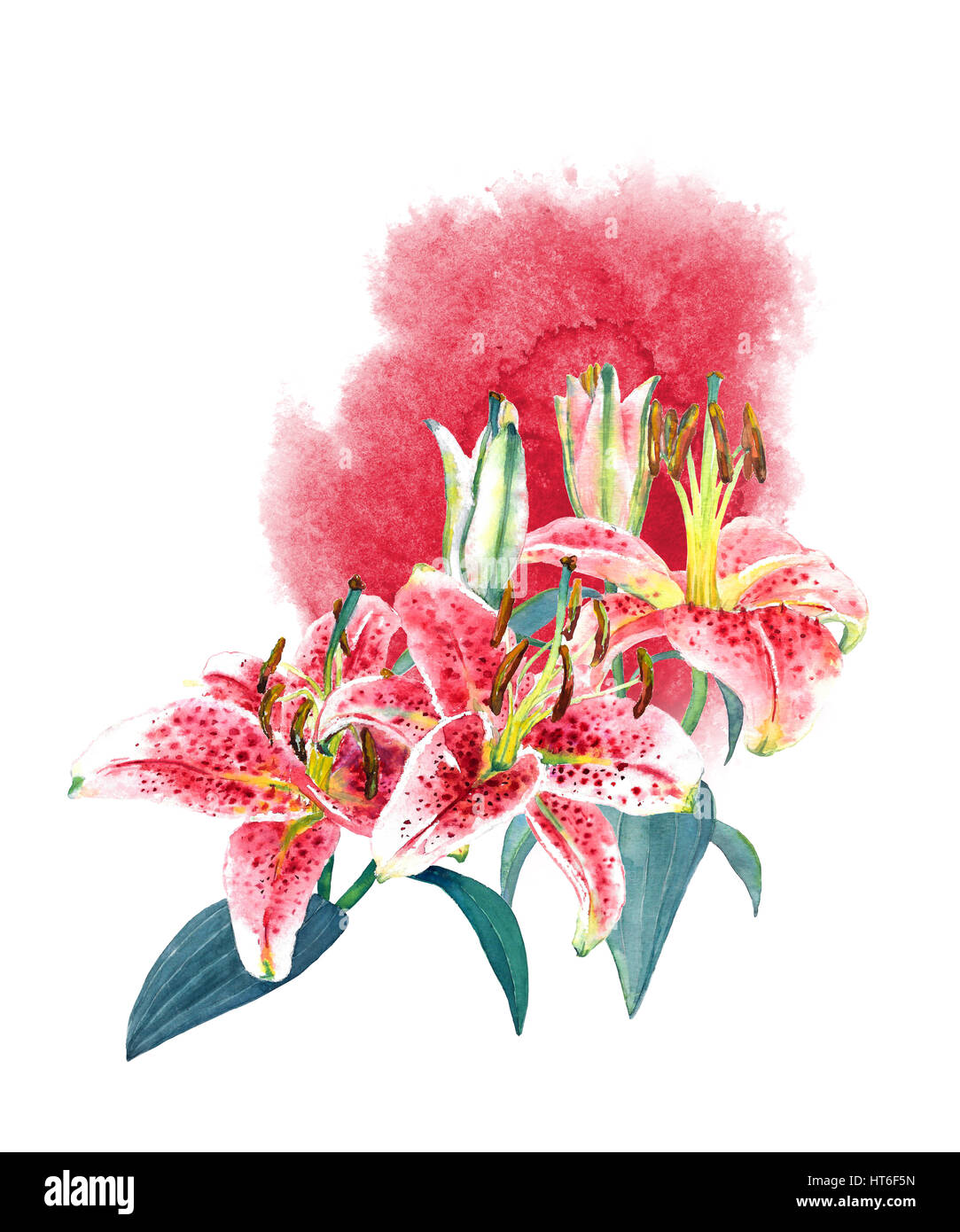 Bouquet tropical superbe lys rose sur rose aquarelle splash. La mode ou de la papeterie, de l'accueil/invitation card design. Banque D'Images