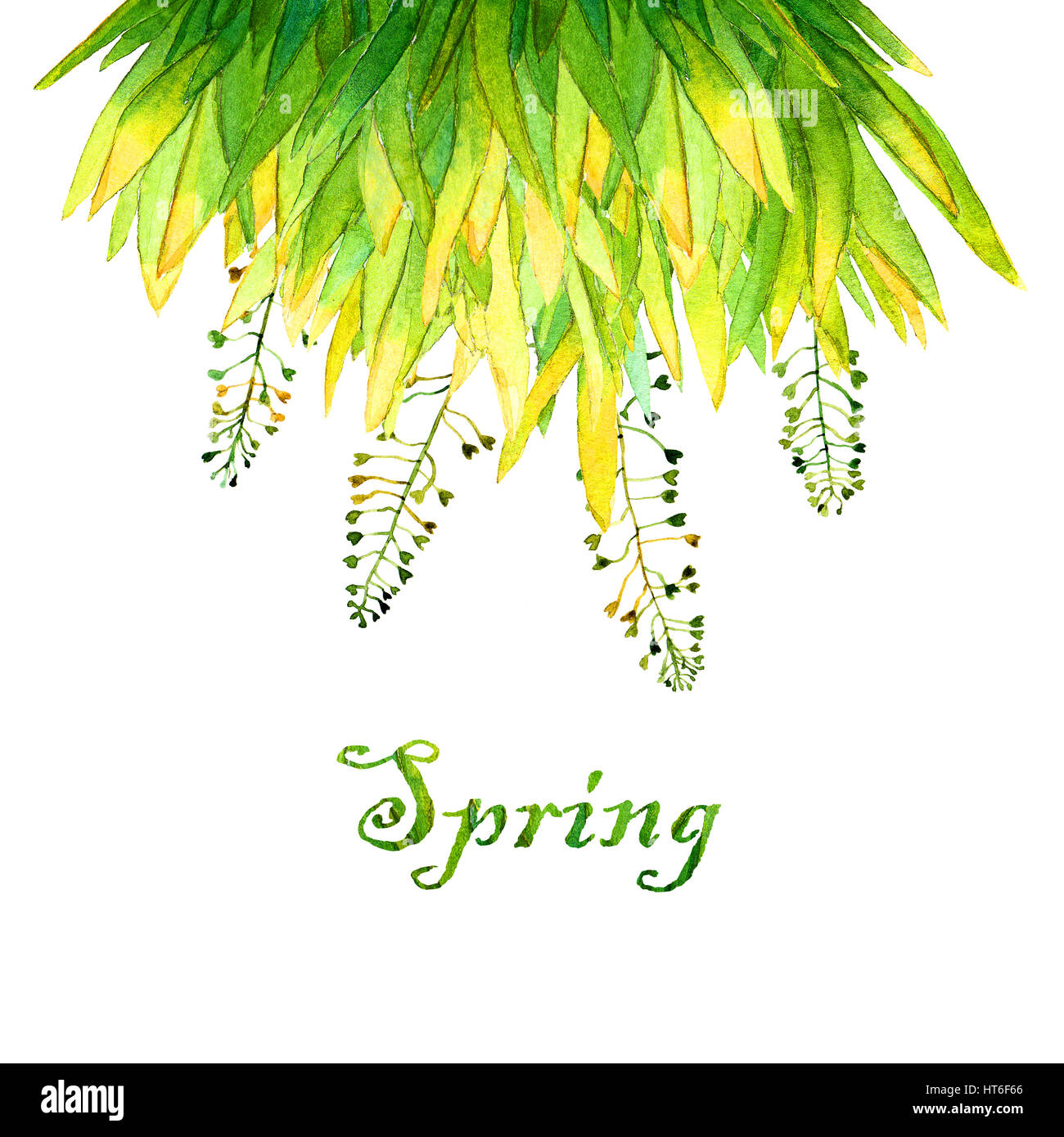 'Spring' aquarelle lettrage en composition florale, isolées, sur fond blanc. Arrière-plan dessiné à la main, un modèle de conception du châssis. Banque D'Images