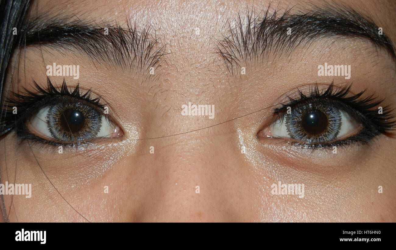 Close up d'un visage de filles montrant des sourcils et des yeux avec des lentilles de contact colorées Banque D'Images