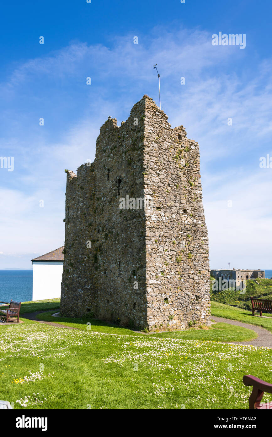 Château de Tenby, Pays de Galles, Royaume-Uni Banque D'Images