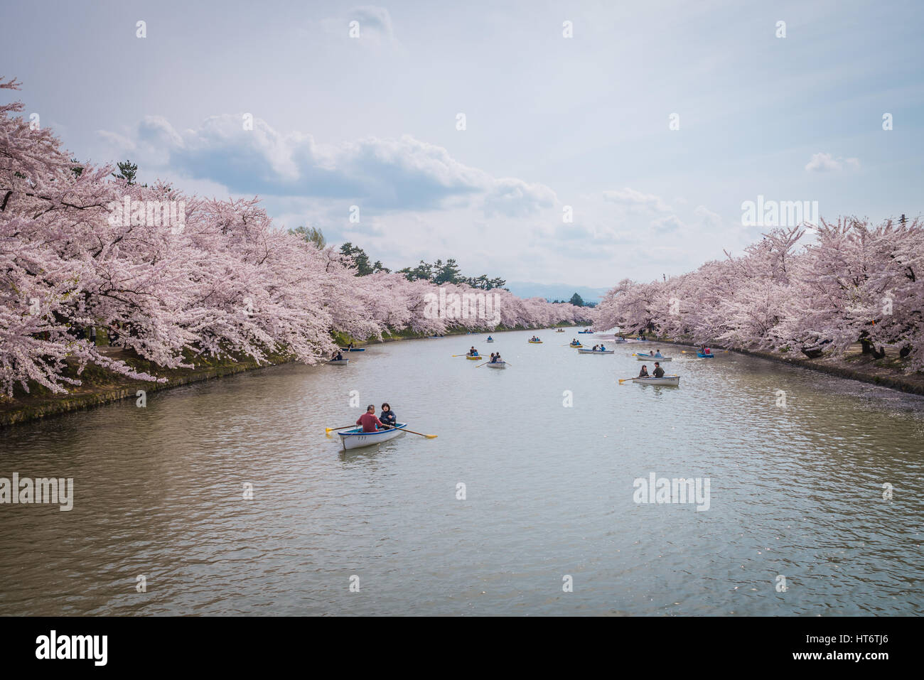 D'Aomori, JAPON - 28 Avril 2014 : inscrivez-vous le bateau dans l'étang de Hanami festival au parc d'Hirosaki Banque D'Images