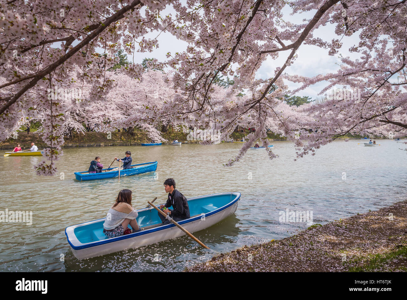 D'Aomori, JAPON - 28 Avril 2014 : inscrivez-vous le bateau dans l'étang de Hanami festival au parc d'Hirosaki Banque D'Images