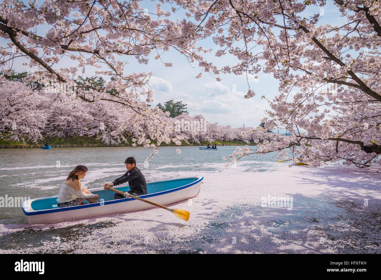D'Aomori, JAPON - 28 Avril 2014 : inscrivez-vous le bateau dans l'étang de Hanami festival au parc d'Hirosaki Banque D'Images