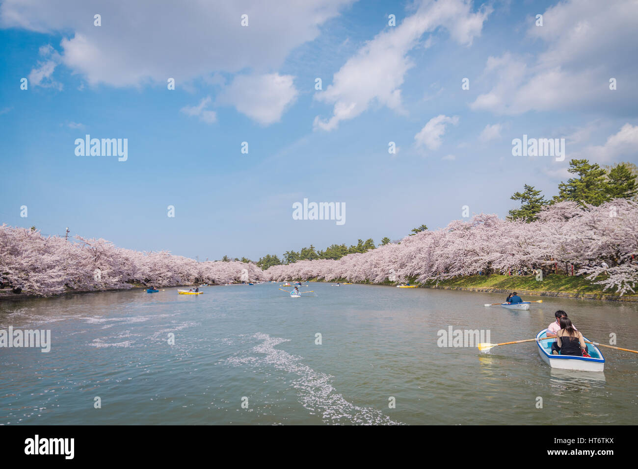 D'Aomori, JAPON - 28 Avril 2014 : inscrivez-vous le bateau dans l'étang de Hanami festival au parc d'Hirosaki Banque D'Images