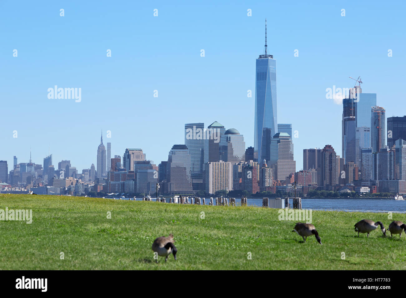 New York city skyline avec pré vert et les bernaches du Canada dans une journée ensoleillée Banque D'Images