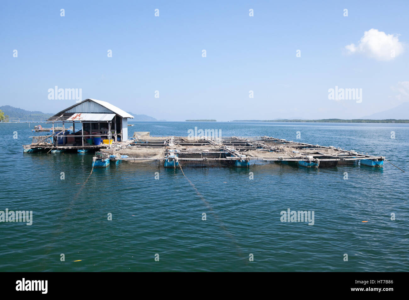 Poissons sous l'eau poissons l'élevage en cages flottantes ou panier pour garder les poissons vivants dans l'eau Banque D'Images