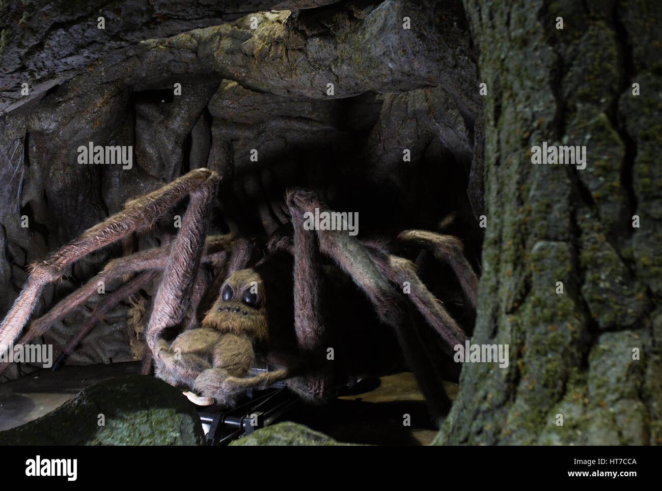 EDITORIAL n'utilisent qu'une réplique d'Aragog au cours de l'aperçu du média de la fabrication d'Harry Potter, la Forêt Interdite attraction de la Warner Bros Studio Tour London. Banque D'Images