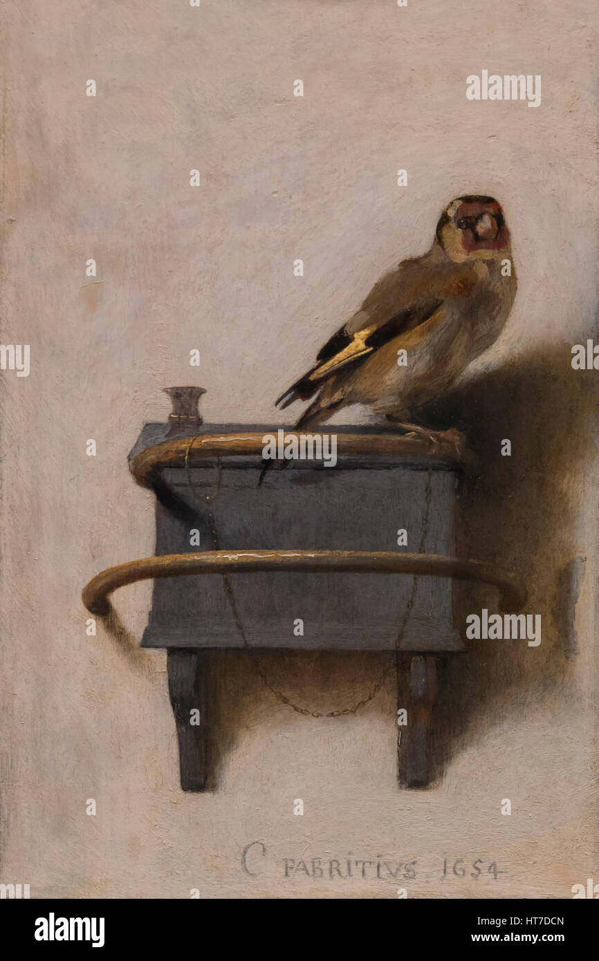 Le Chardonneret, par Carel Fabritius, 1654, Royal Art Gallery, Musée Mauritshuis, La Haye, Pays-Bas, Europe Banque D'Images
