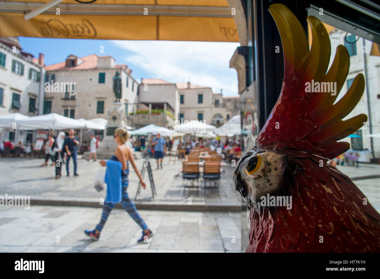Statue d'un perroquet regarde les touristes près de la ville mur de Dubrovnik, Croatie, Europe Banque D'Images