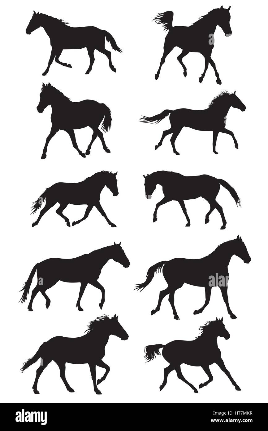 Ensemble de chevaux trotteurs silouettes vector black on white background Illustration de Vecteur