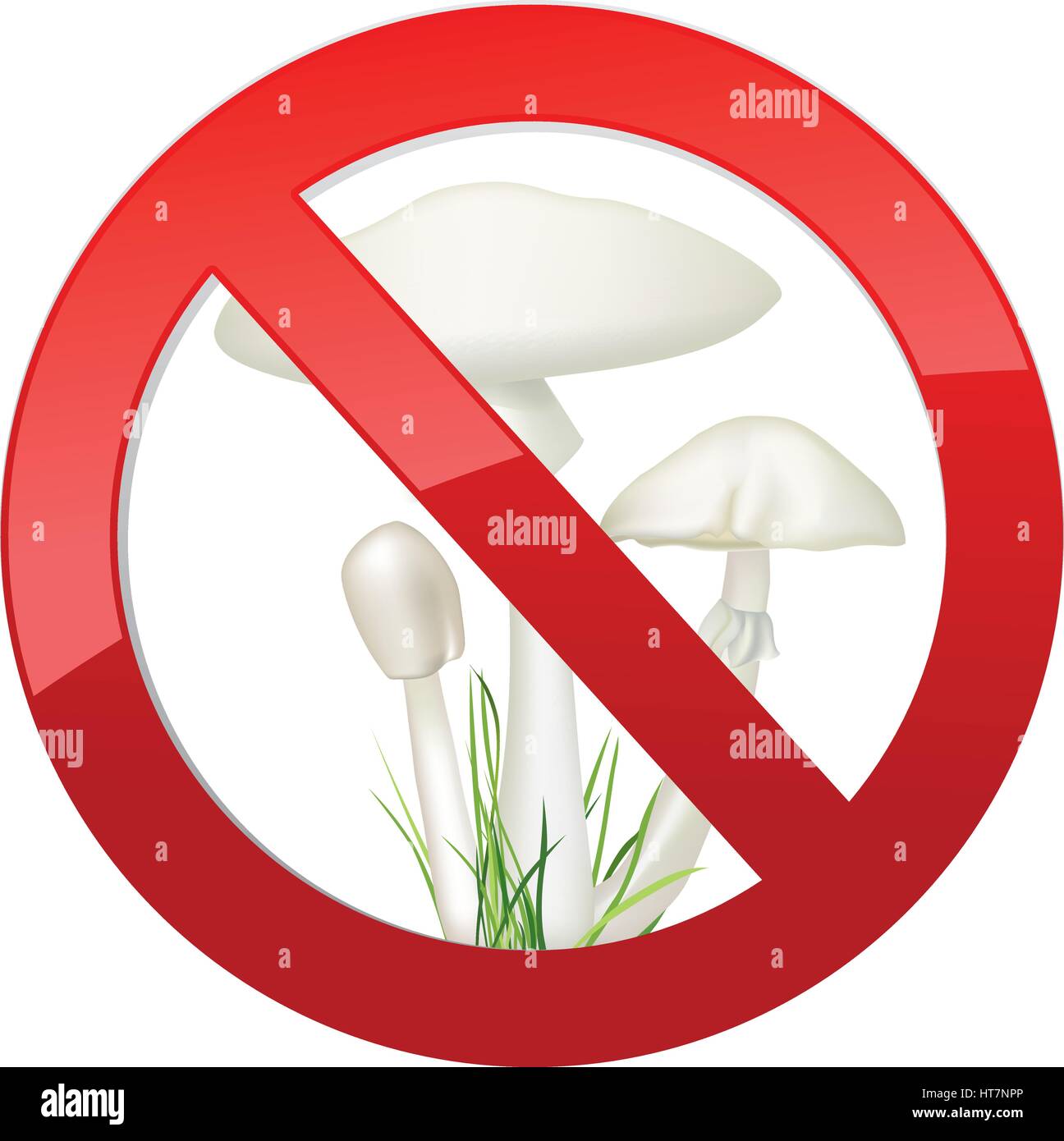Toadstool isolé sur fond blanc. décès-tasse mushroom Amanita phalloides. illustration vectorielle. Illustration de Vecteur