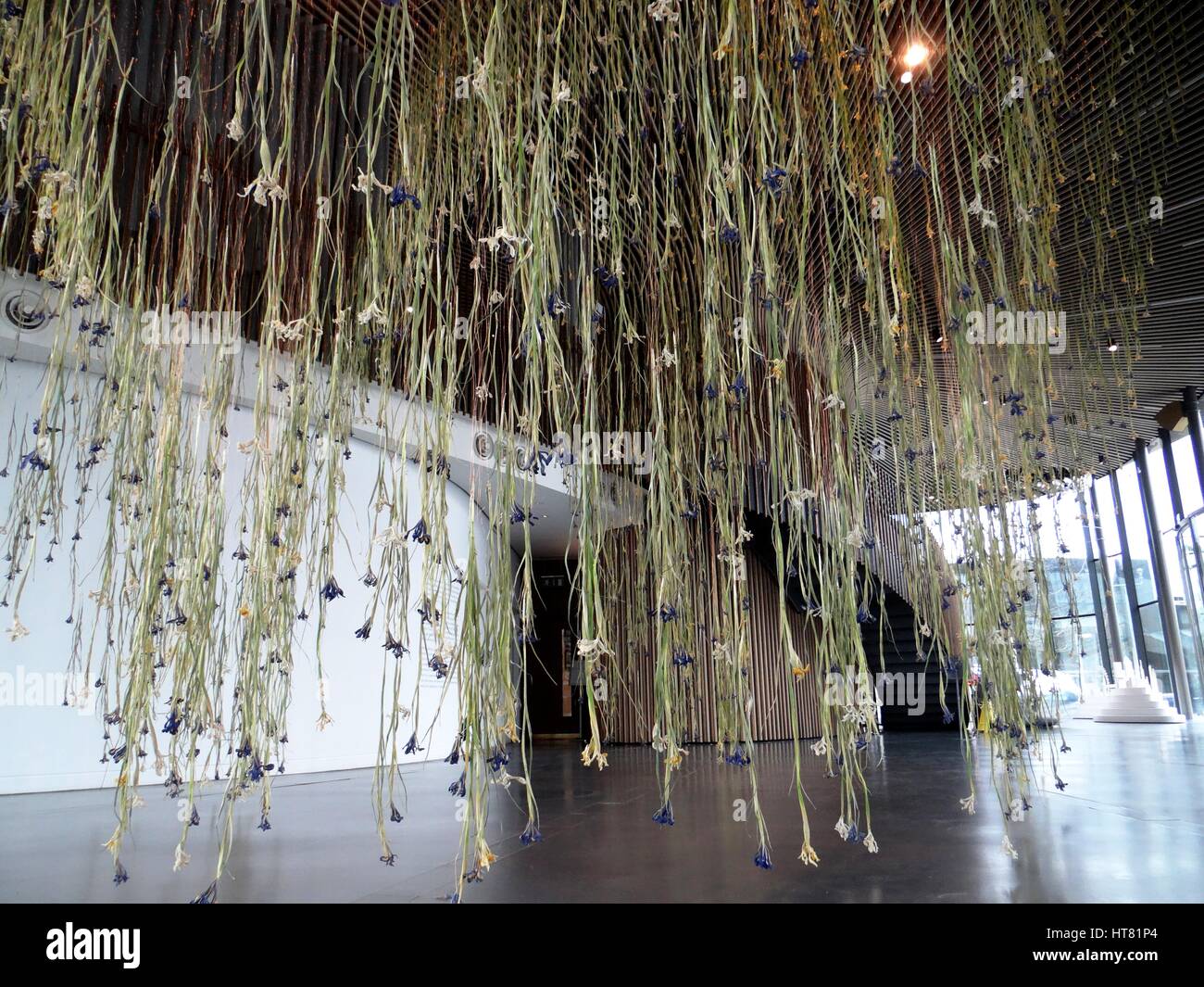 Londres, Royaume-Uni. Mar 8, 2017. L'Iris installation réalisée à partir de dix mille iris frais, par Rebecca Louise Droit, liées avec un fil de cuivre à Galerie, Londres, UK Crédit : Nastia M/Alamy Live News Banque D'Images