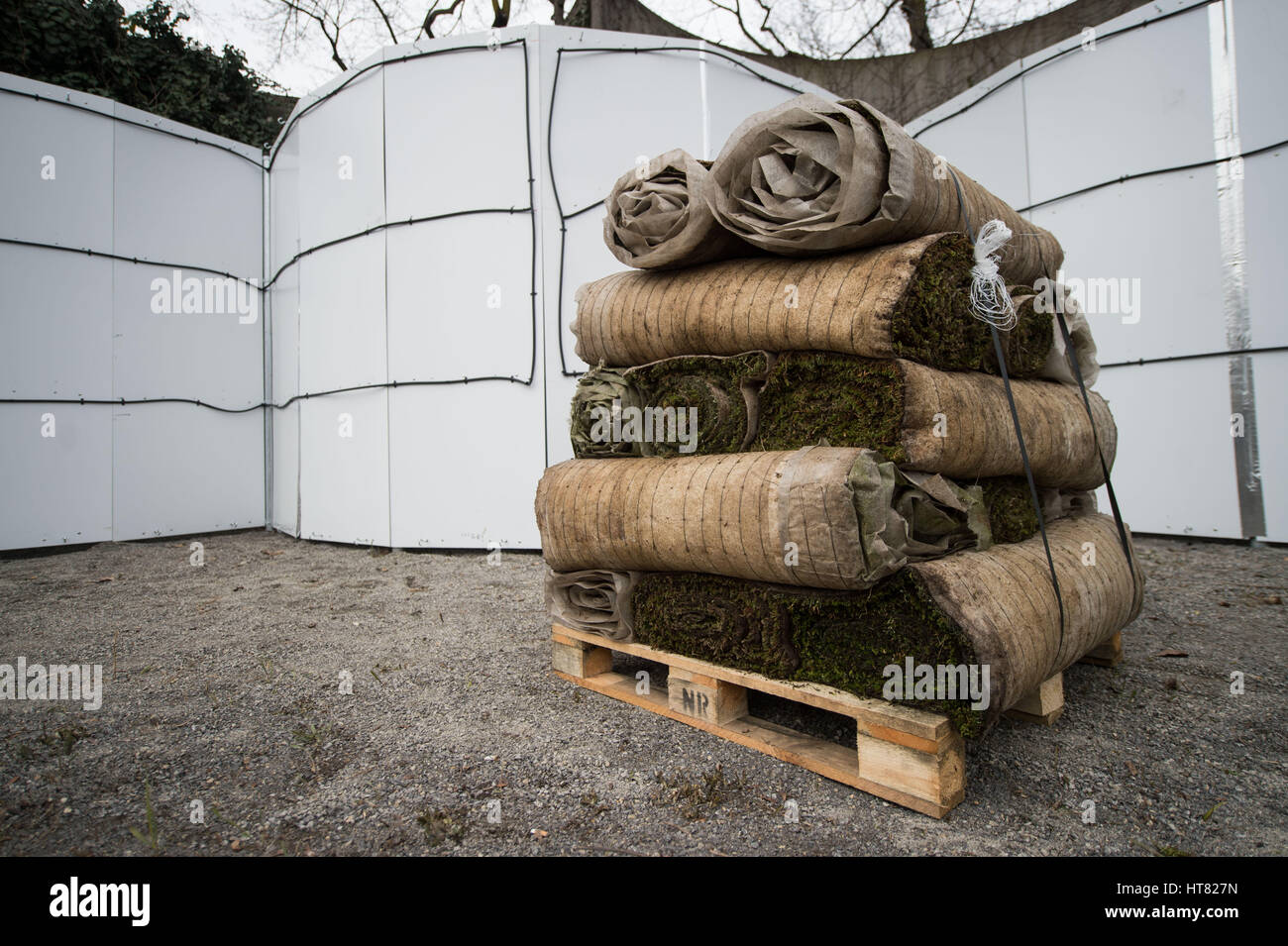 Une palette d'une espèce de mousse (Racomitrium lanuginosum) en face d'un mur de soutien avec un système d'irrigation dans la région de Stuttgart, Allemagne, 08 mars 2017. Utilisé contre la poussière fine la pollution de l'air, de la mousse spécial liera les polluants dans le projet pilote et les utiliser comme engrais. Photo : Lino Mirgeler/dpa Banque D'Images