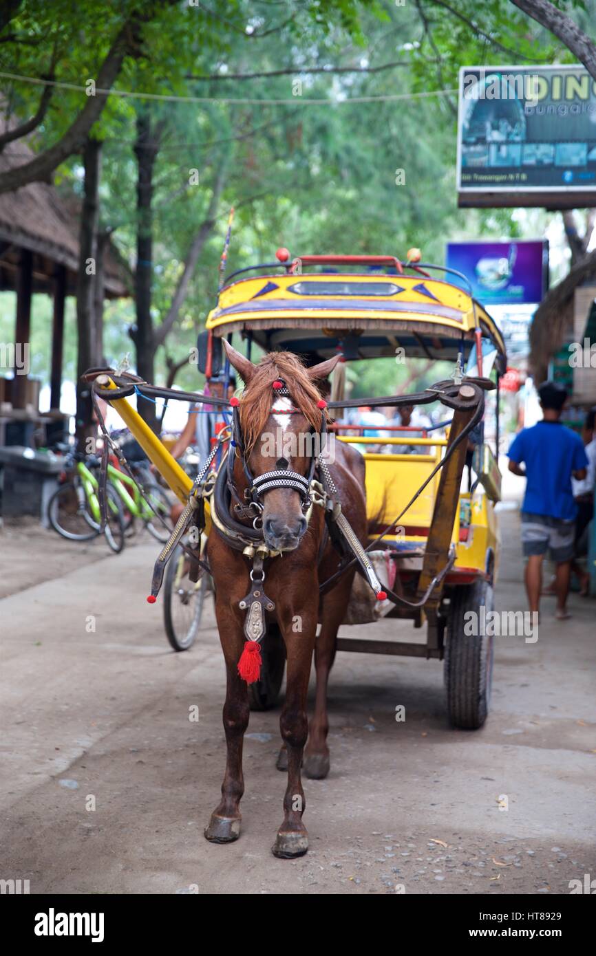 En chariot à cheval cidomo traditionnel sur l'île de Gili Trawangan, Indonésie Banque D'Images