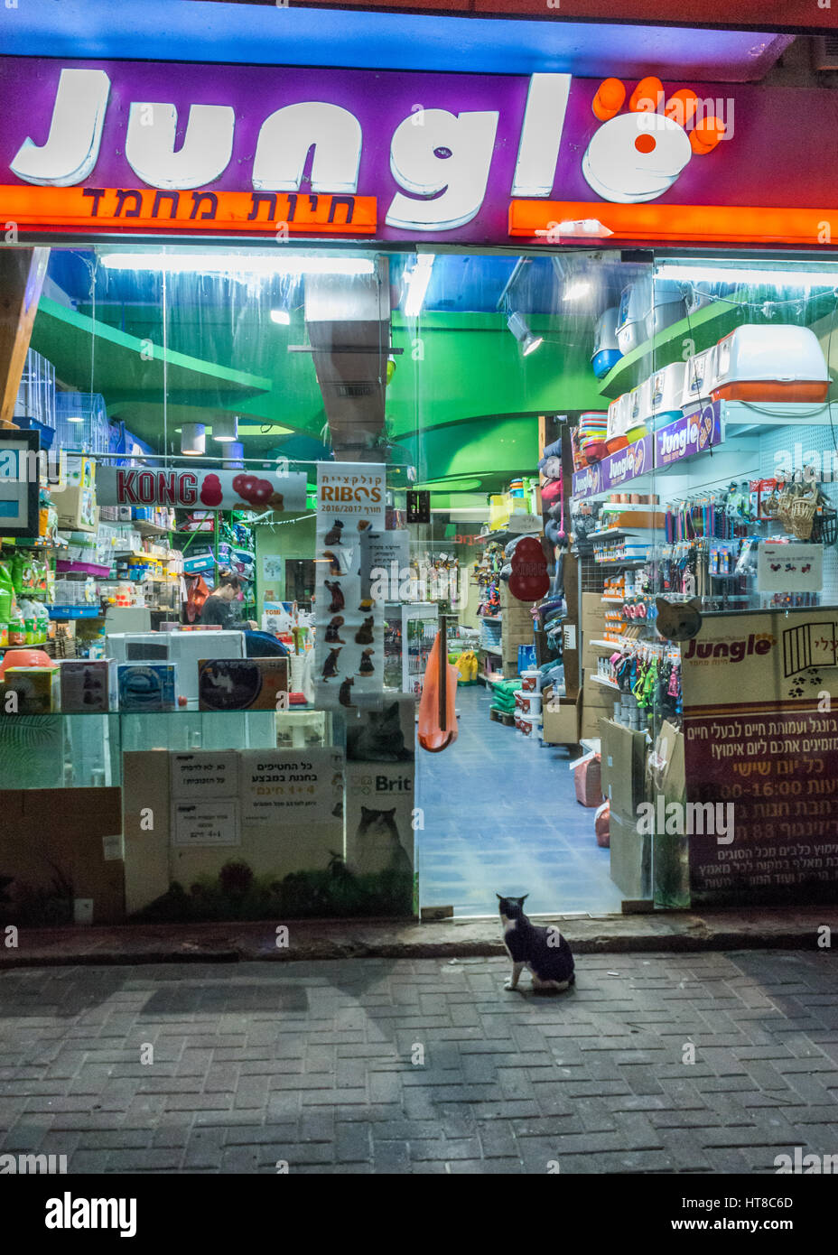 Un chat à l'extérieur d'un pet shop, à Tel Aviv, Israël Banque D'Images
