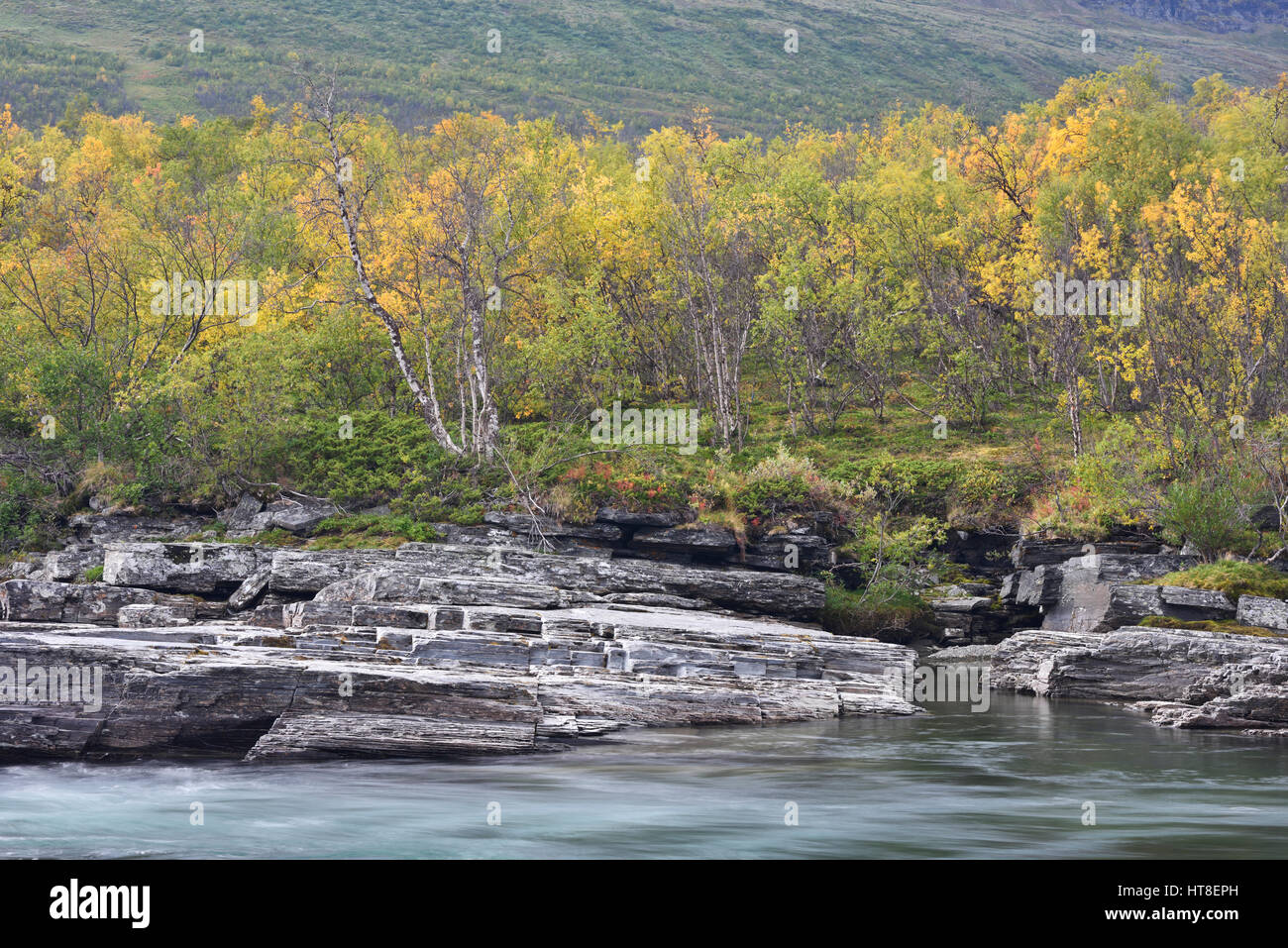 Abisko canyon à l'automne, Abisko National Park, Suède Banque D'Images