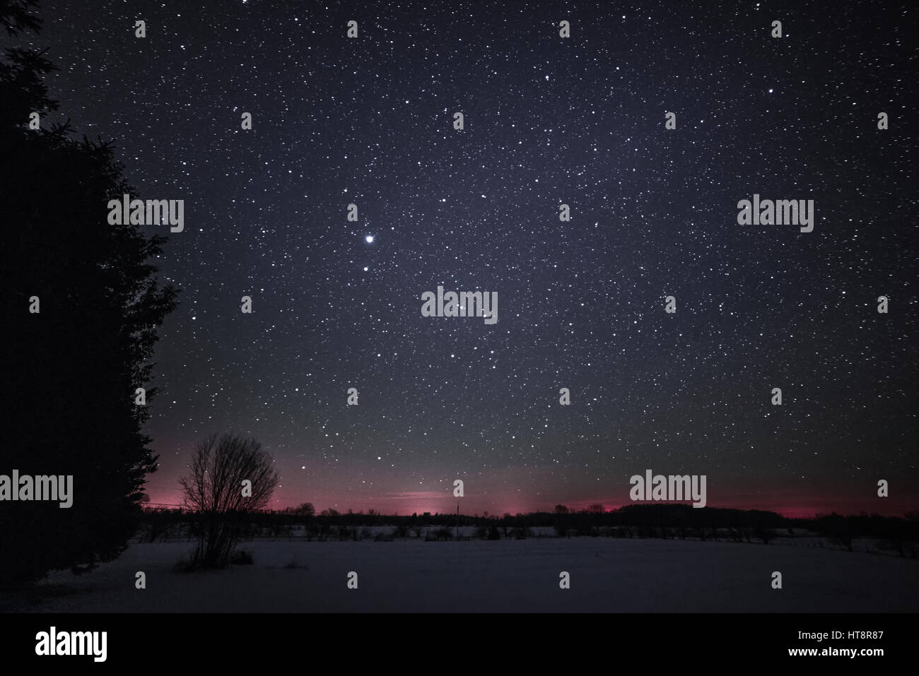 Paysage d'hiver en milieu rural dans la nuit avec des arbres et des étoiles Banque D'Images