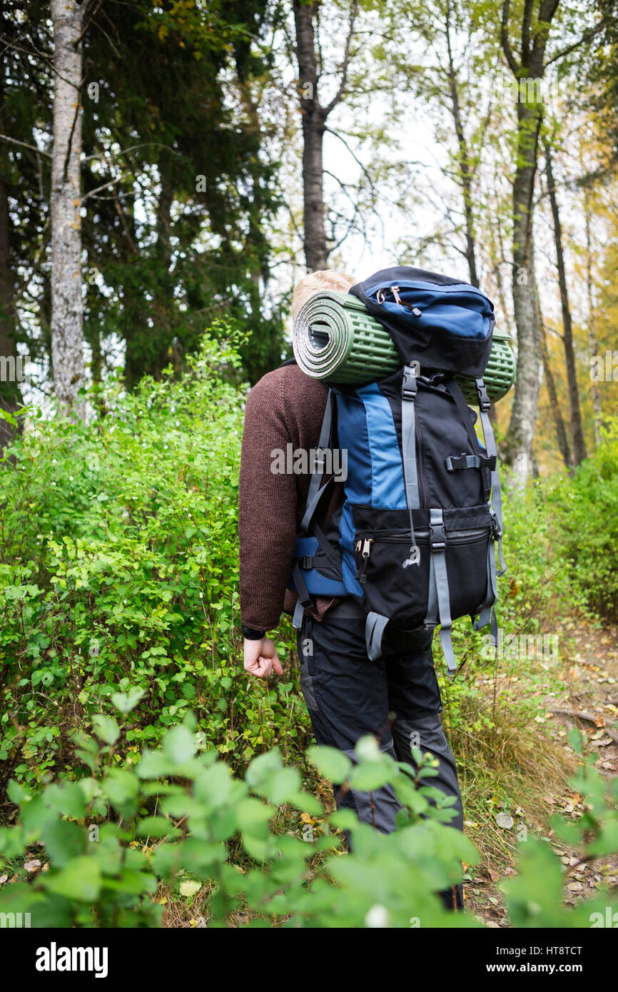 Vue arrière du jeune homme avec sac à dos randonnée en forêt Banque D'Images