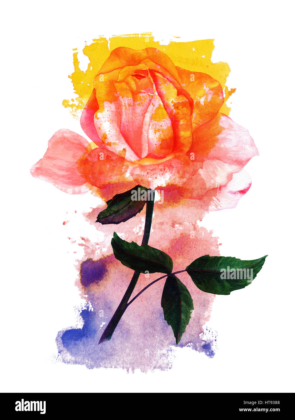 Aquarelle sur dessin rose rose teinture texturée Banque D'Images