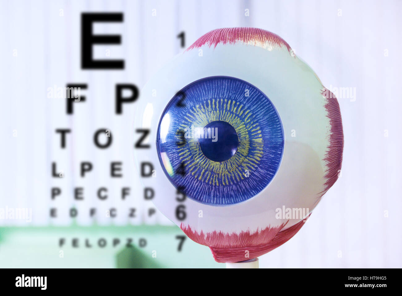 Gros plan de l'échantillon d'oculus de l'ophtalmologie. L'ophtalmologie, modèle d'œil de près. Test graphique pour médecin ophtalmologiste. Globe oculaire Banque D'Images