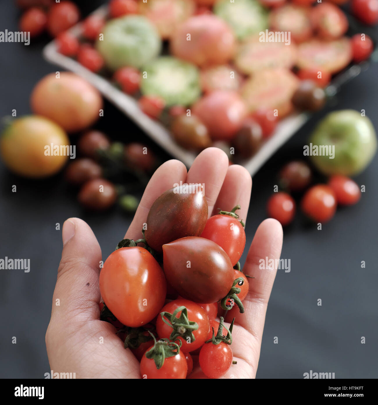 Les tomates, la nourriture bon marché avec beaucoup d'utiliser à titre d'antioxydants, soins de la peau, anticancéreux, bon pour les personnes alzheimer, légumes riches en vitamines, caroténoïdes, le lycopène Banque D'Images