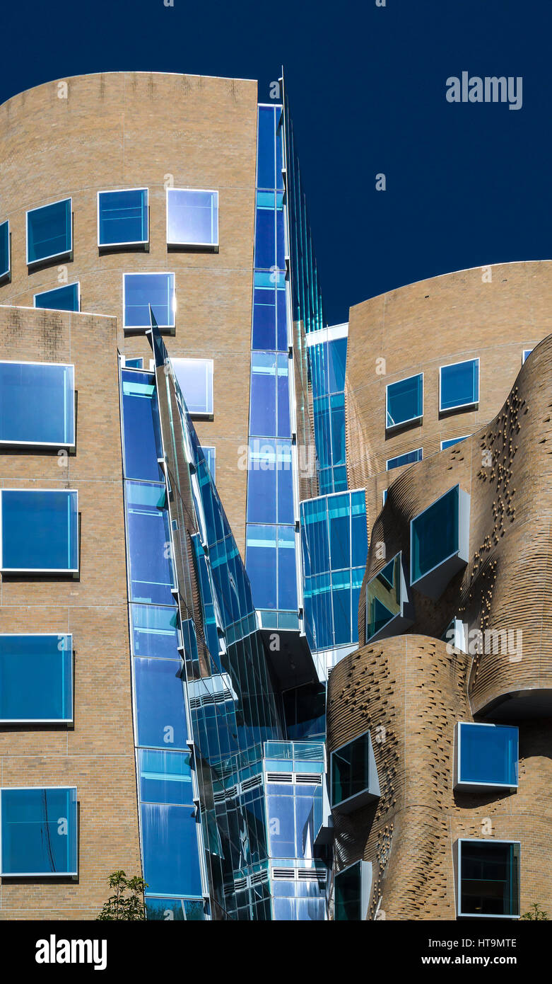 Le premier bâtiment en Australie conçu par l'un des mondes les plus influents architectes Frank Gehry. Son nommé d'après le Dr Chau Chak. Banque D'Images