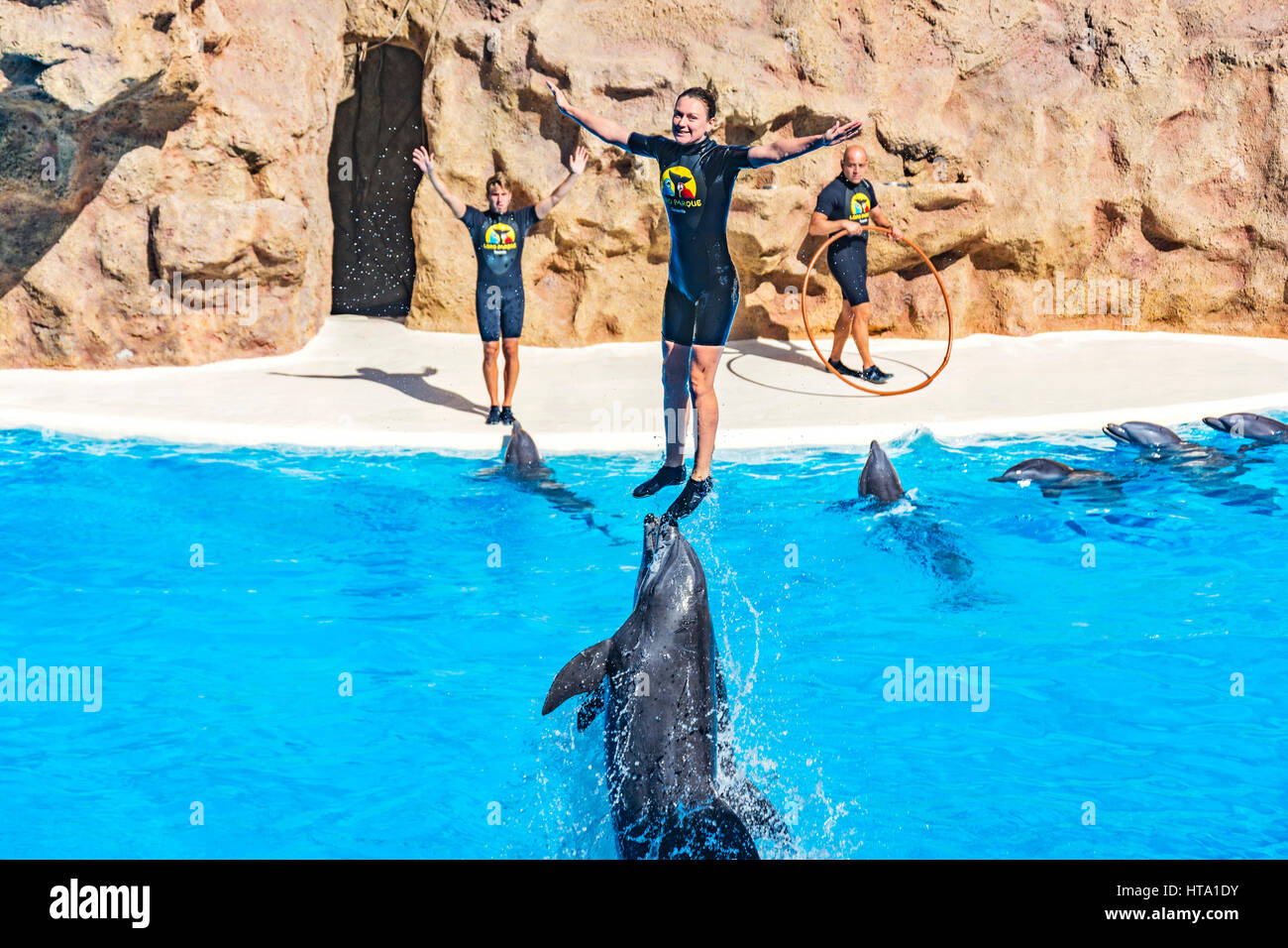 Spectacle de dauphins dans le Loro Parque (Vincent), poussé hors de l'eau dolphin tamer, 13.09.2016, (Tenerife, Espagne). Banque D'Images