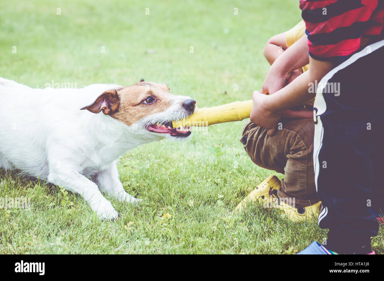 Chien jouant à la corde jeu contre deux enfants Banque D'Images