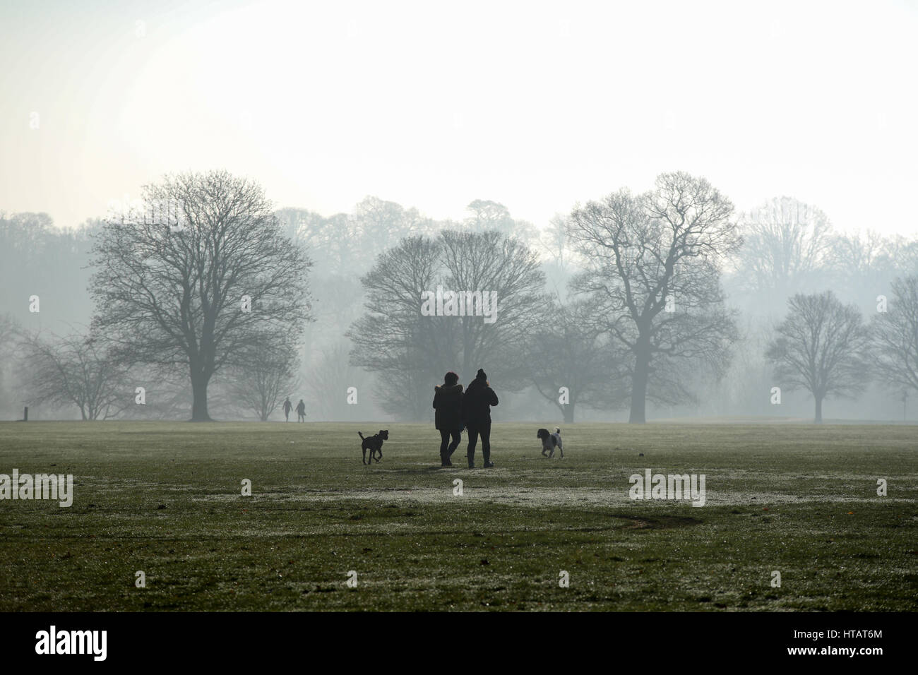 Un couple marche leurs chiens dans une journée d'automne brumeux et brumeux à Mote Park à Maidstone dans le Kent Banque D'Images