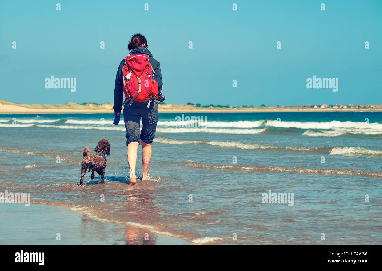 Un randonneur et leur chien jouant le long d'une plage de sable. Embleton Bay, en Angleterre. Style de couleur et de grain appliqué. Banque D'Images