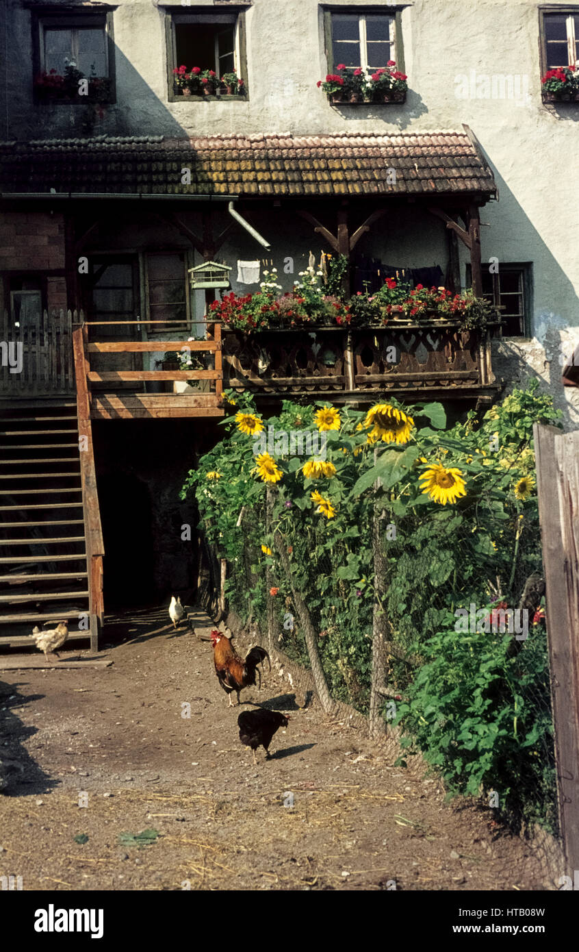 Vieille maison à Glurns au Tyrol du Sud en 1974. Hinterhof Glurns dans Bauergarten Hühnern und mit Banque D'Images