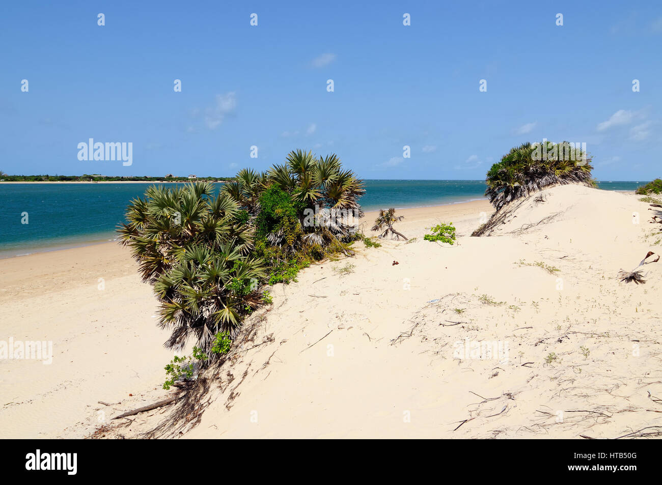 Kenya, beau plage de sable sur l'archipelag lamu Banque D'Images