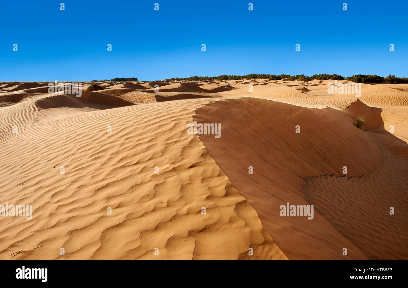 Le désert du Sahara dunes de l'Erg oriental près de l'oasis de Ksar Ghilane, la Tunisie, l'Afrique Banque D'Images