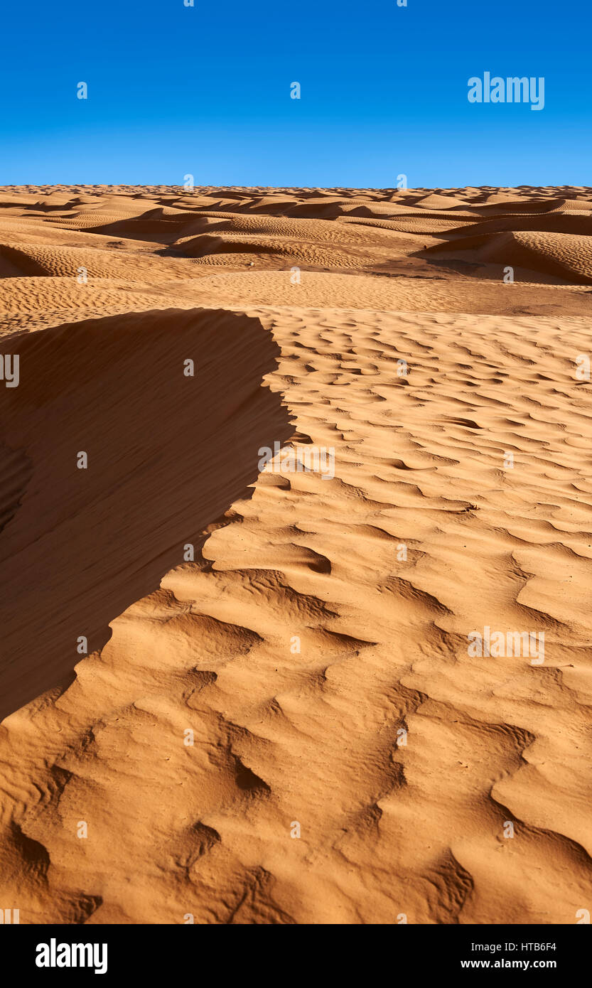 Le désert du Sahara dunes de l'Erg oriental près de l'oasis de Ksar Ghilane, la Tunisie, l'Afrique Banque D'Images