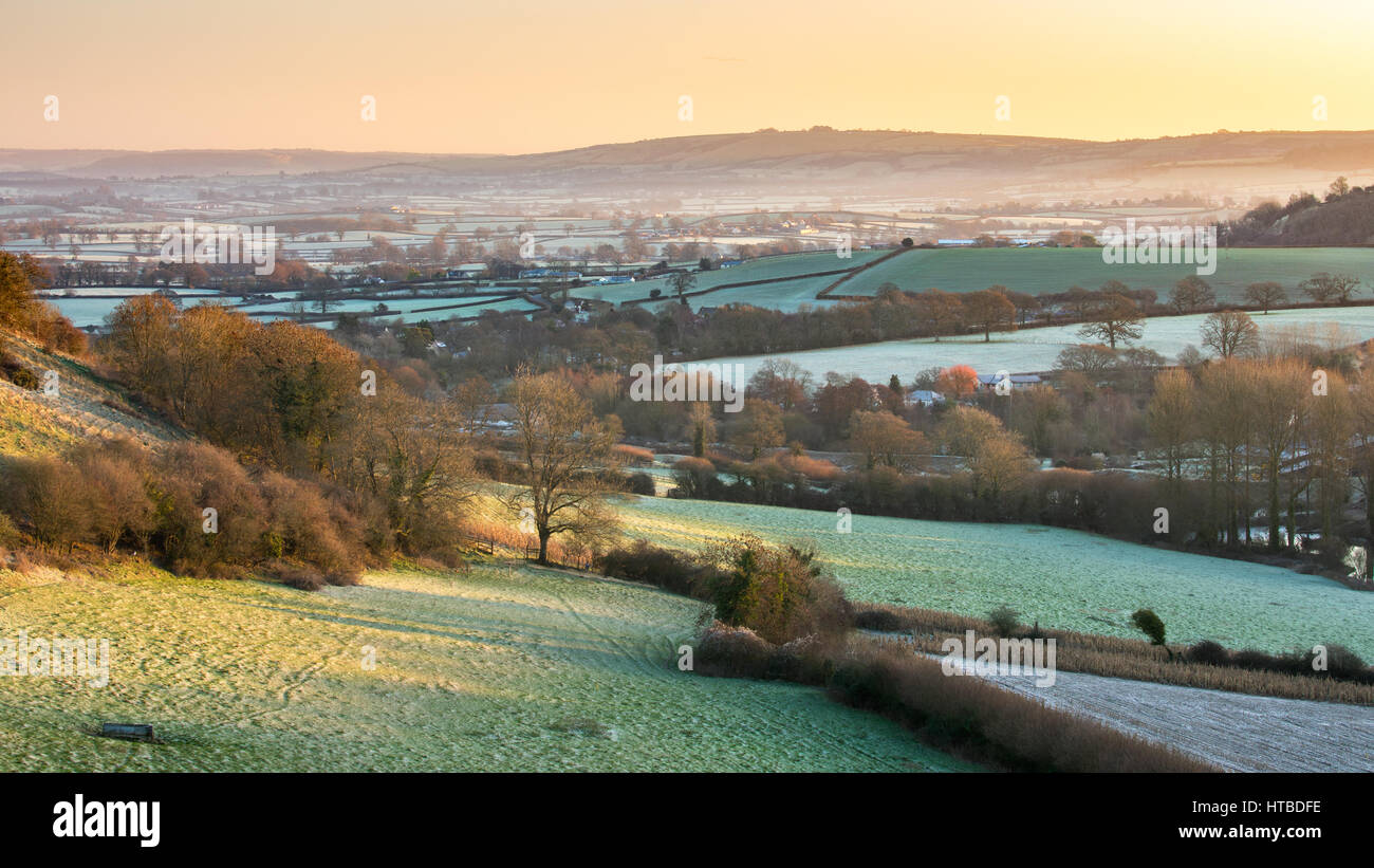 Un matin glacial dans la vallée de Blackmore de Gales Hill, nr Buckland Newton, Dorset, England, UK Banque D'Images