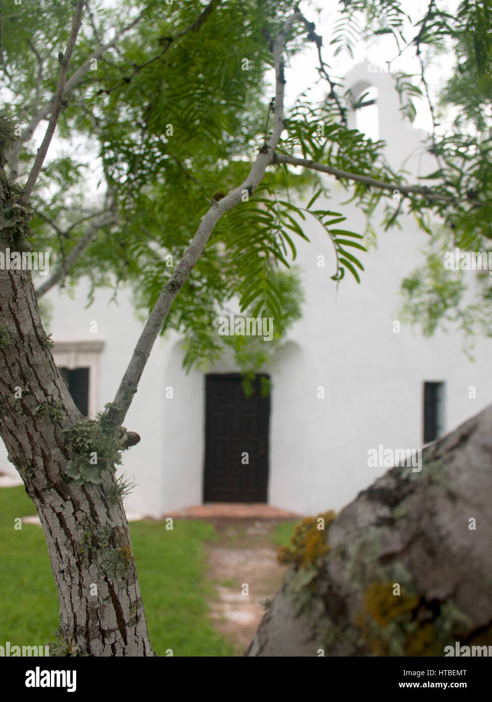 Détail d'un arbre mesquite avec une église de la mission espagnole dans l'arrière-plan à Goliad State Park et Site historique de Goliad au Texas. Banque D'Images