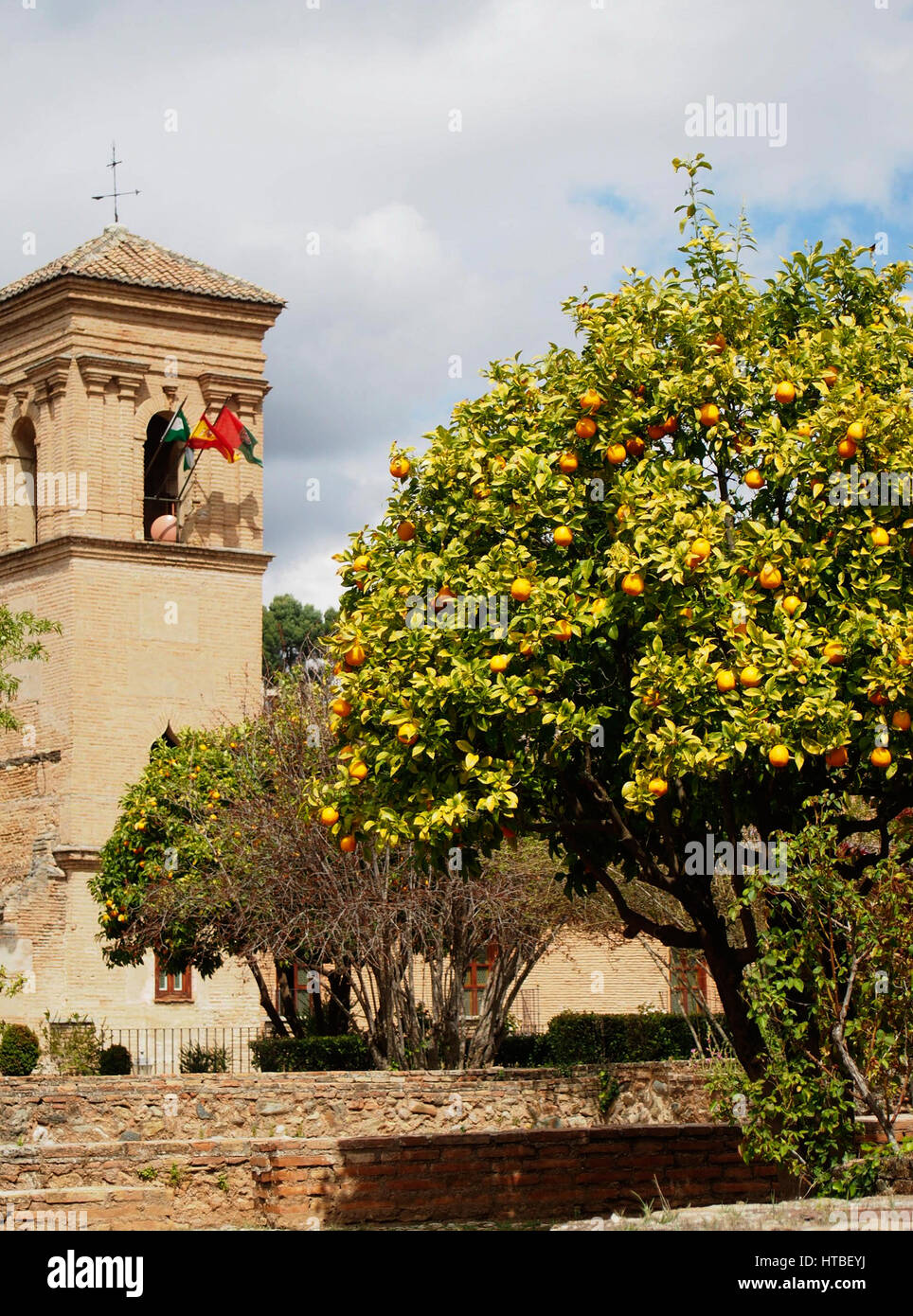 Un oranger avec des fruits à l'Alhambra à Grenade, Espagne fort. Banque D'Images