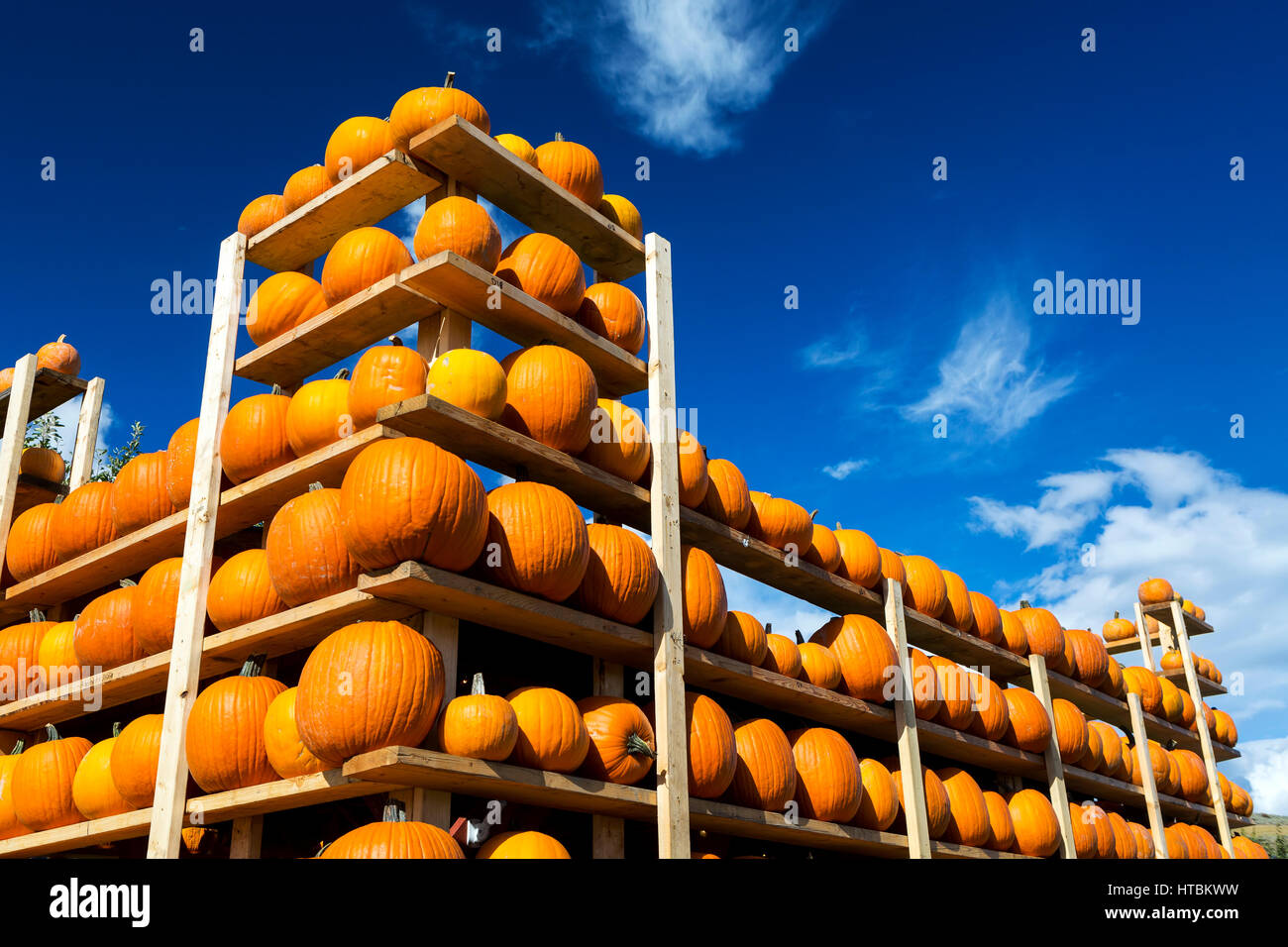 Casiers empilés plein de citrouilles avec ciel bleu et nuages ; British Columbia, Canada Banque D'Images