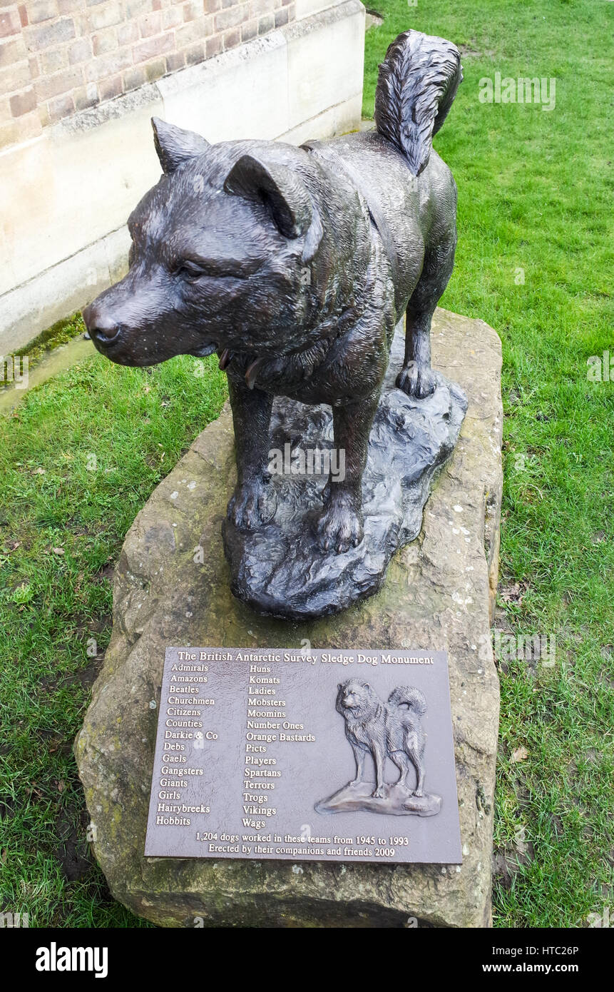 Expédition polaire Statue commémorative de chiens de traîneau au Scott Polar Research Institute de Cambridge, une partie de l'Université de Cambridge Banque D'Images