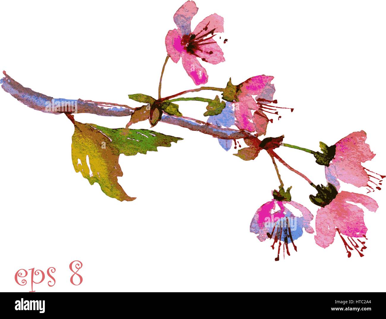 Fleur De Cerisier Sakura Branche Avec Fleurs Roses