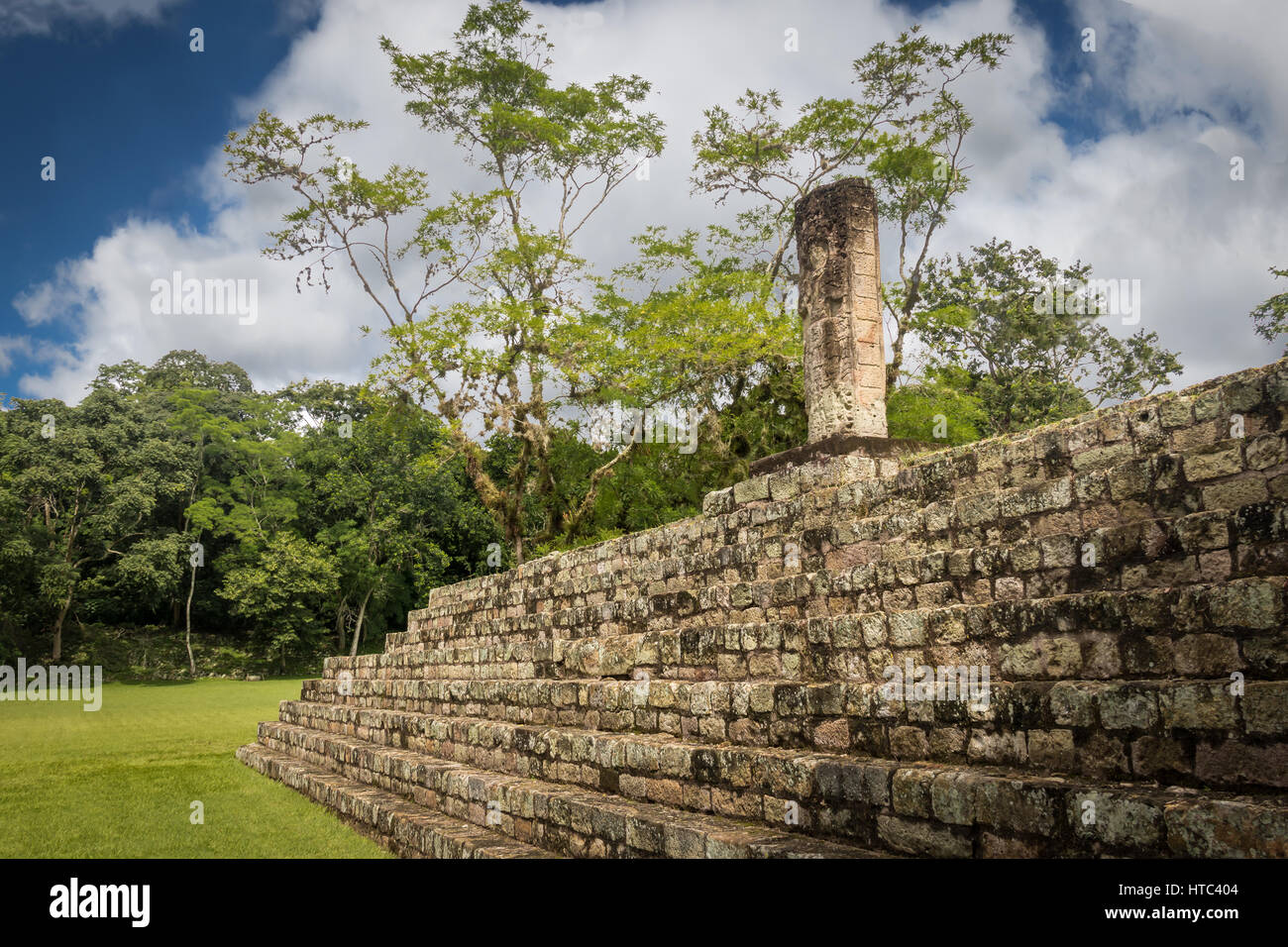 Pyramide des escaliers et Stella sculpté dans les ruines mayas - Site archéologique de Copan, Honduras Banque D'Images