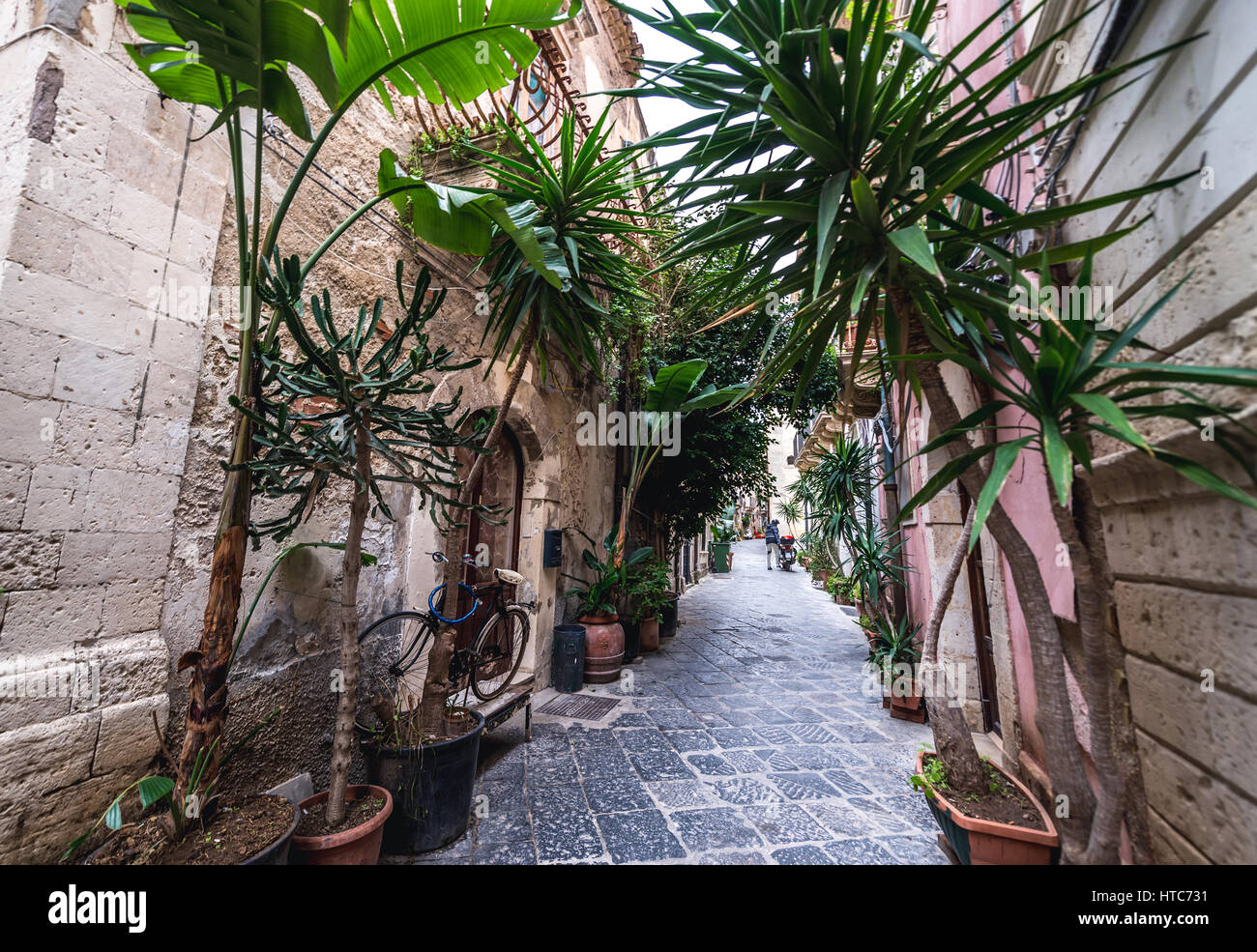 Plantes vertes sur une rue étroite sur l'île d'Ortygie, partie historique de la ville de Syracuse, l'angle sud-est de l'île de la Sicile, Italie Banque D'Images