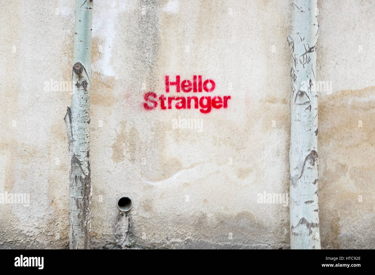 Fragment premier graffiti sur mur entre les arbres Banque D'Images