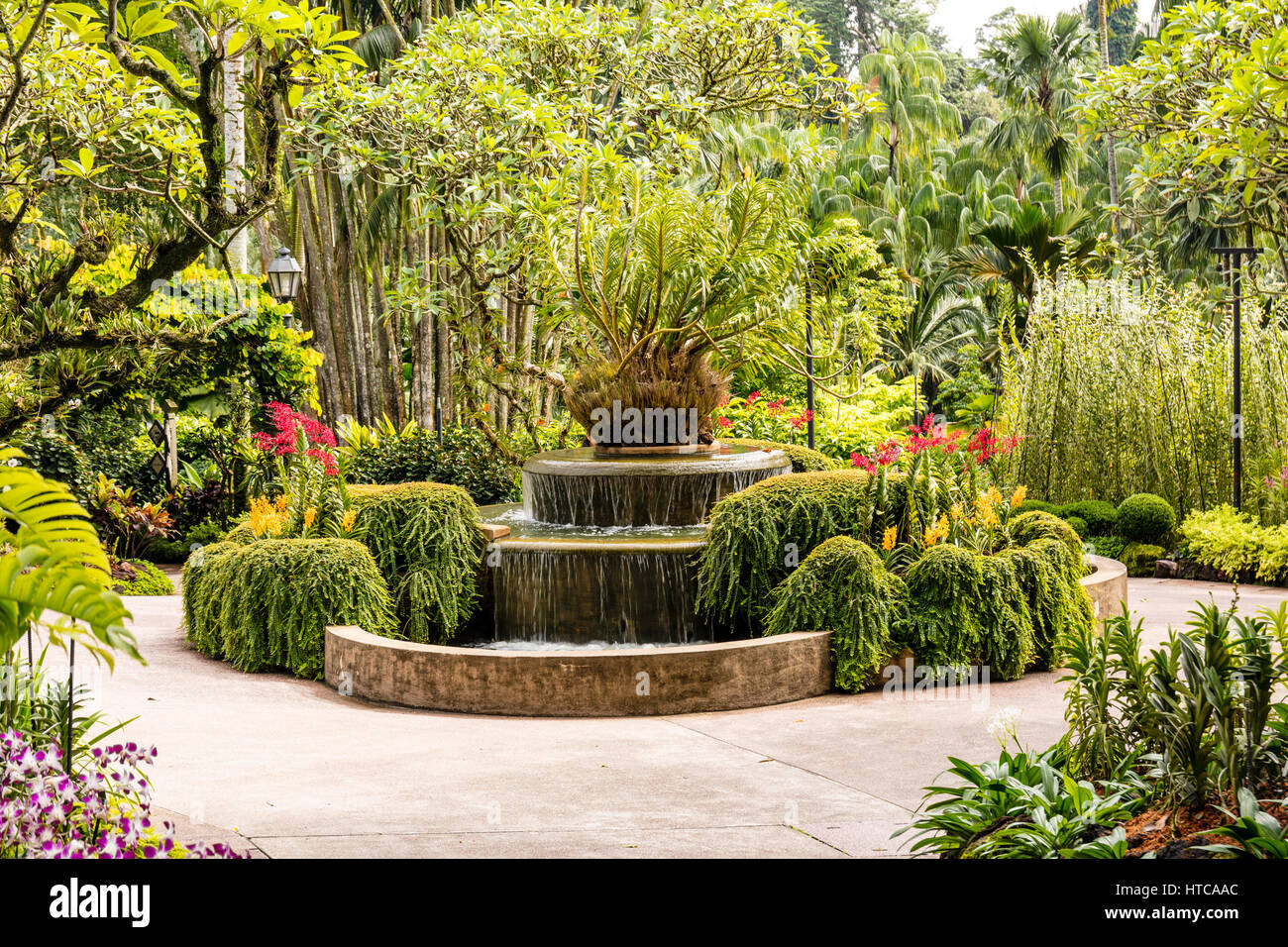 Botanic Gardens, à Singapour, en Asie Banque D'Images