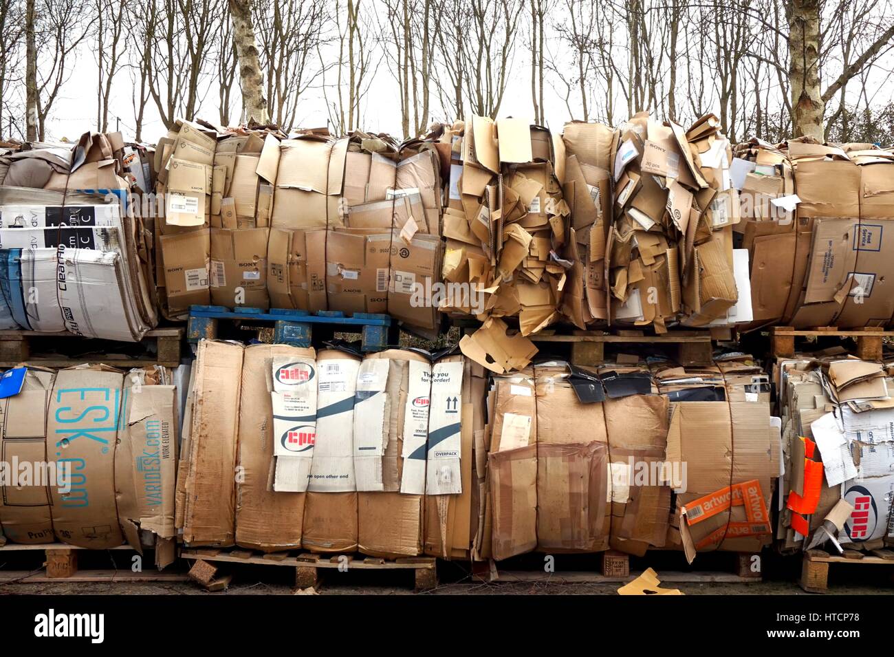 Basingstoke, Royaume-Uni - 6 mars 2017 : énorme tas de cartons sur palettes en attente d'être recyclés, d'arbres en arrière-plan Banque D'Images